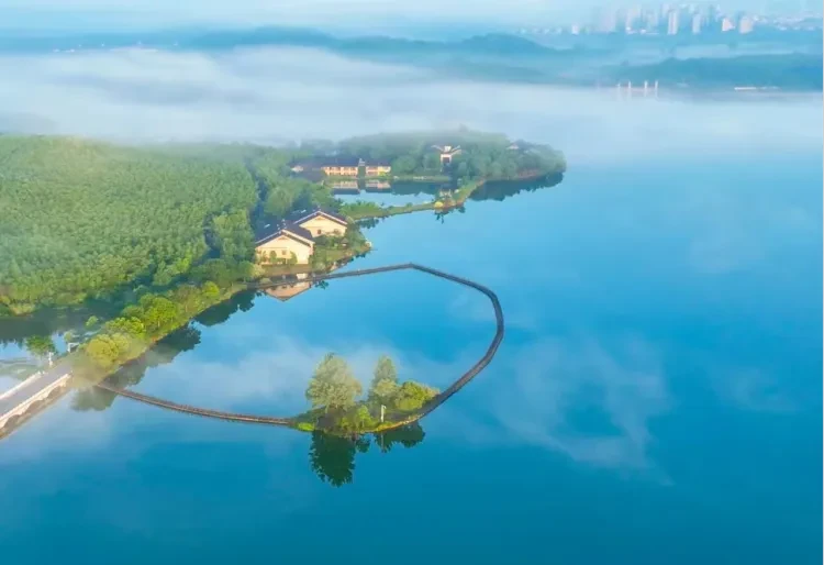 47391b3221846464bcaa60f2d6d603c8-sz_696272