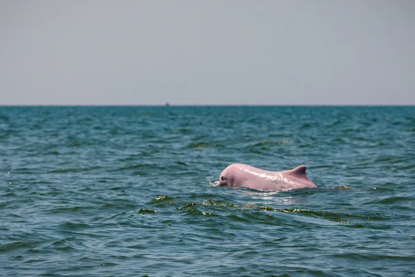 479647de6ba572d39a0ce2e76b65dbcd-sz_282273