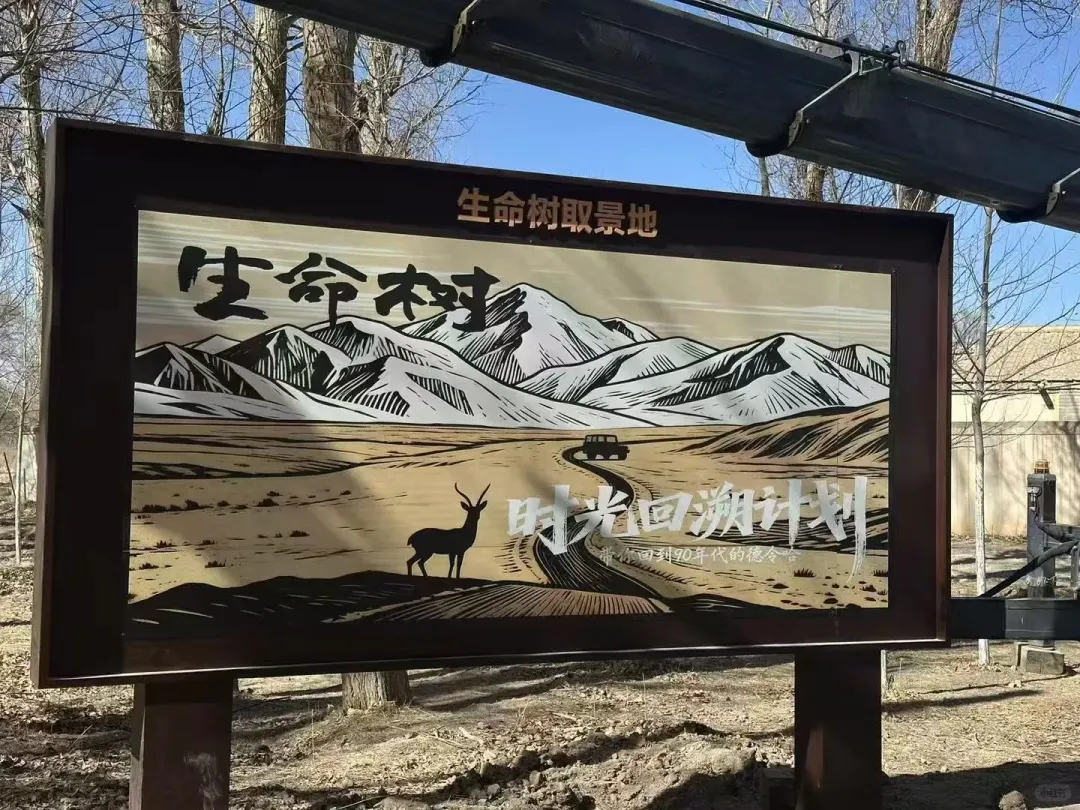 47b0d73765cb253be19e965d9e4cc940-sz_2661368-2