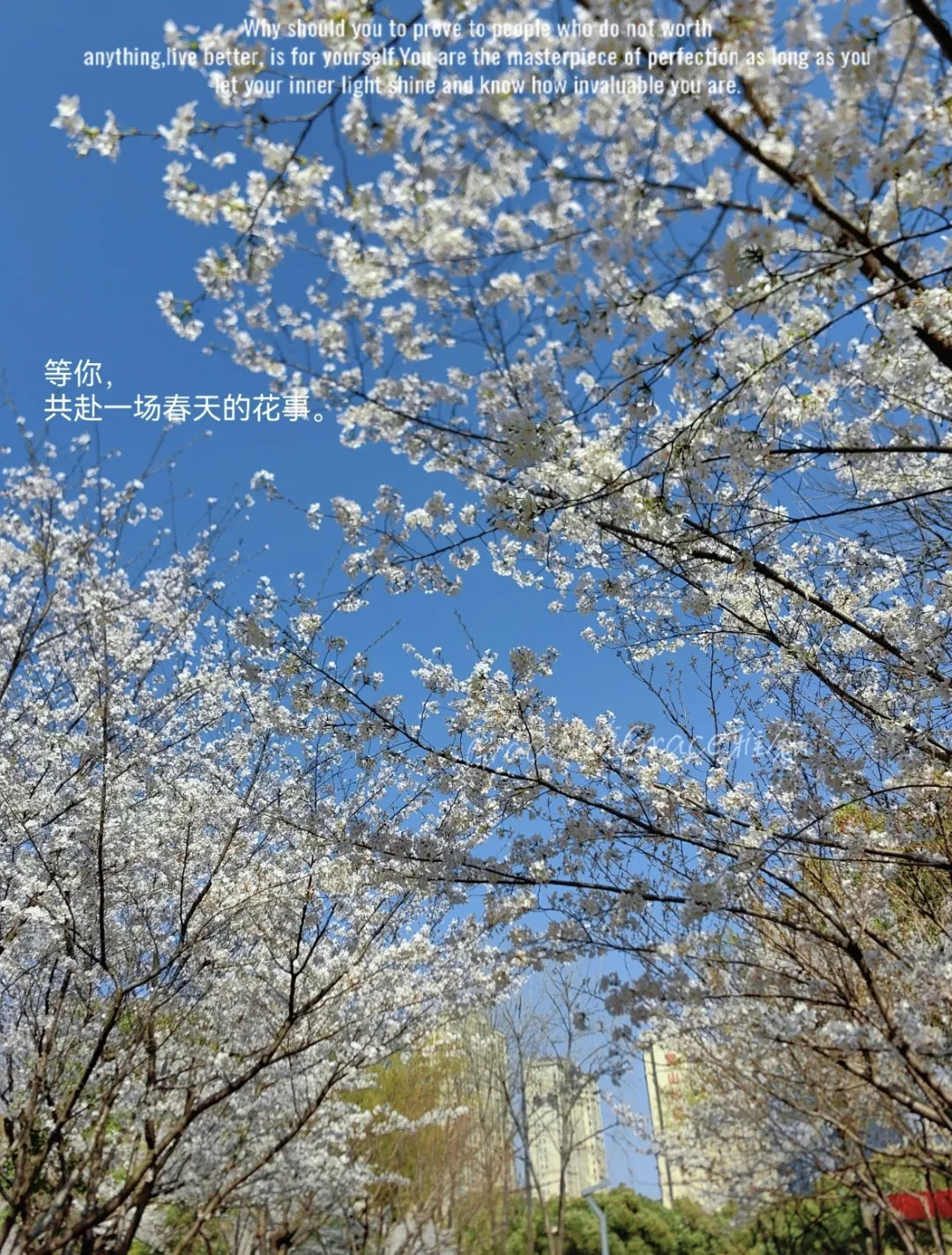 47c68ddf45d8705fd0de156e47ec687d-sz_1055300