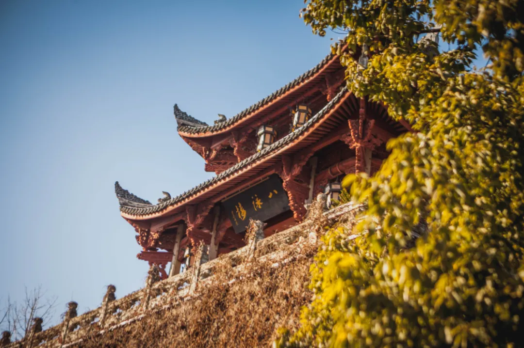 47d1424727013849fbbd8648da62d25c-sz_1225033