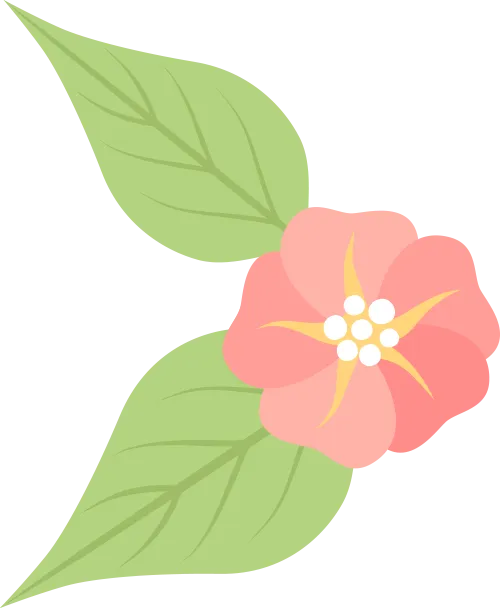 47da95a808603f36177976fc91b5a880_sz-46557-3