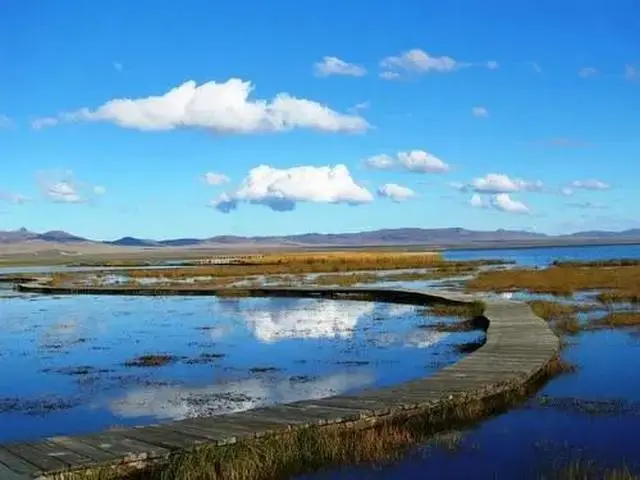 4807f7d42a618cedc29940050019fa3b-sz_35077