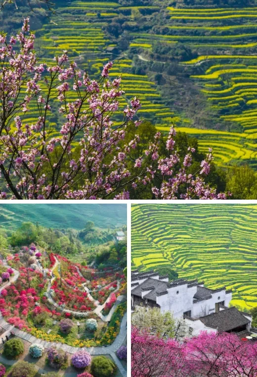 48562cc3a7112e9b35ce99ce0deb206c-sz_1095975