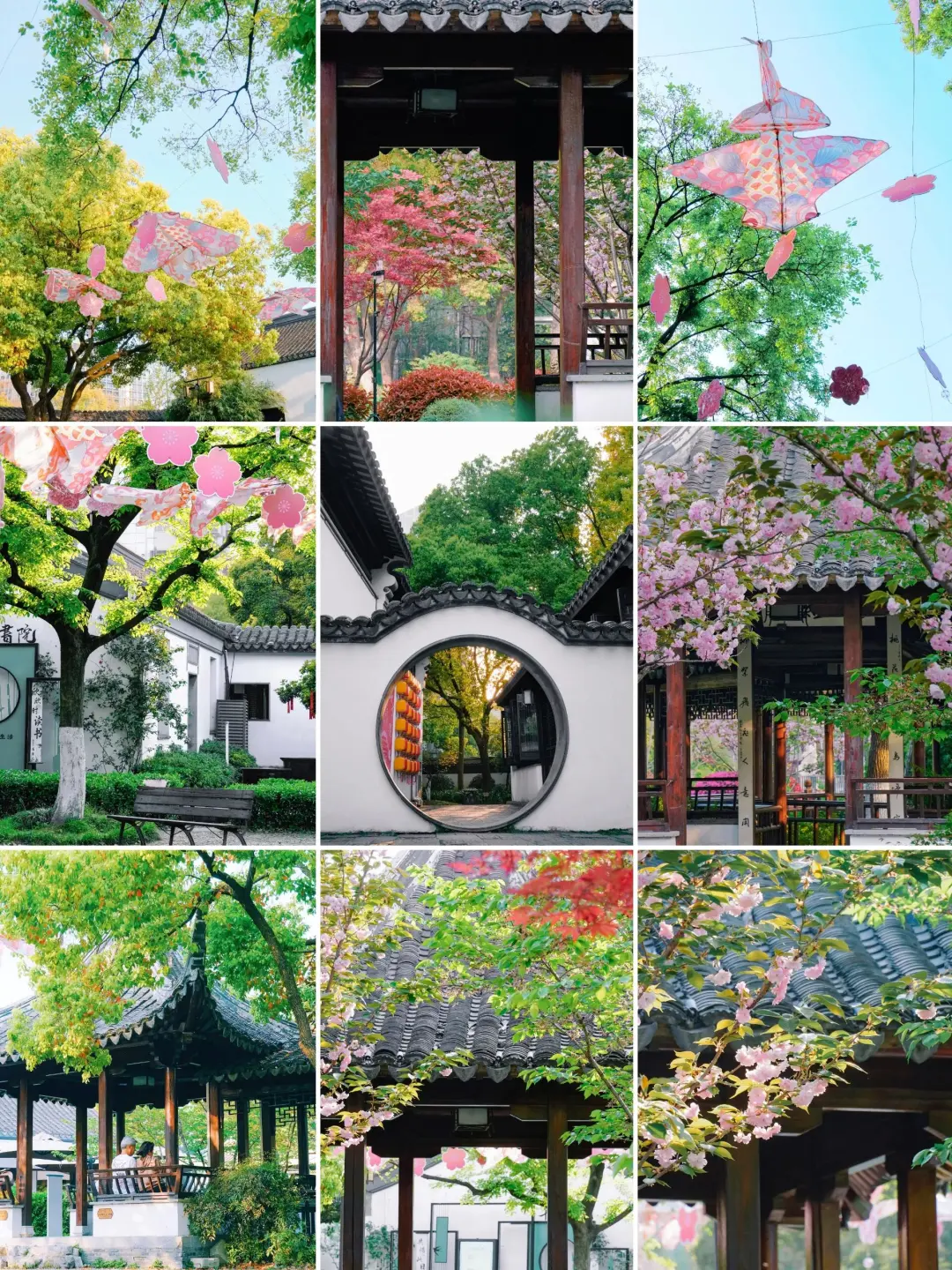 48890a5d4cafaa34c92faaf75d4de08c-sz_1209935