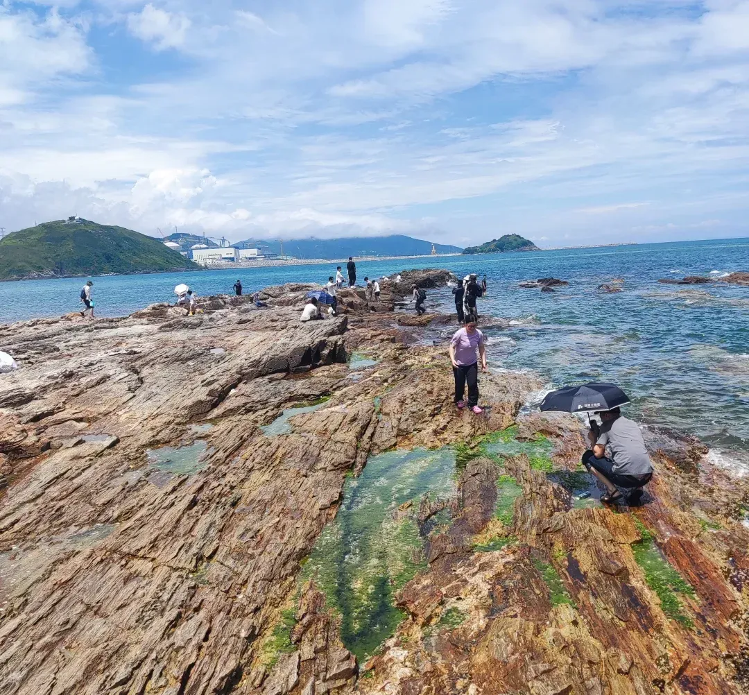 4940bd6e2f9a7cd0deaa7dba51223b0f-sz_1933396