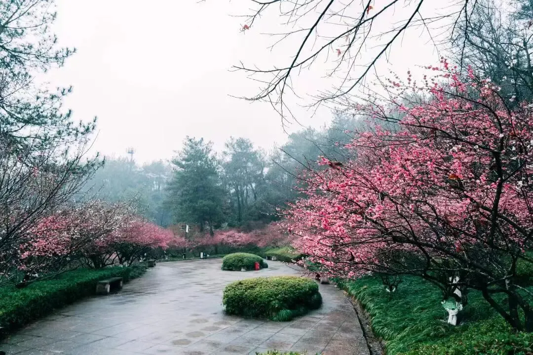 4987c0a1feaf9819e46b63b02e2fca9d-sz_1458466