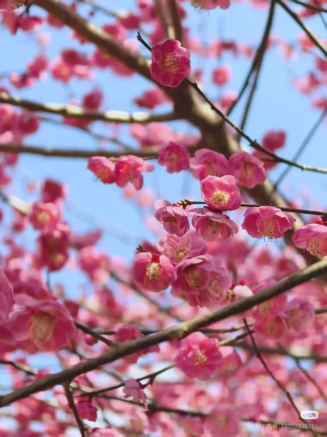 49a424e5a231338038fa573c9d57231b-sz_1612603