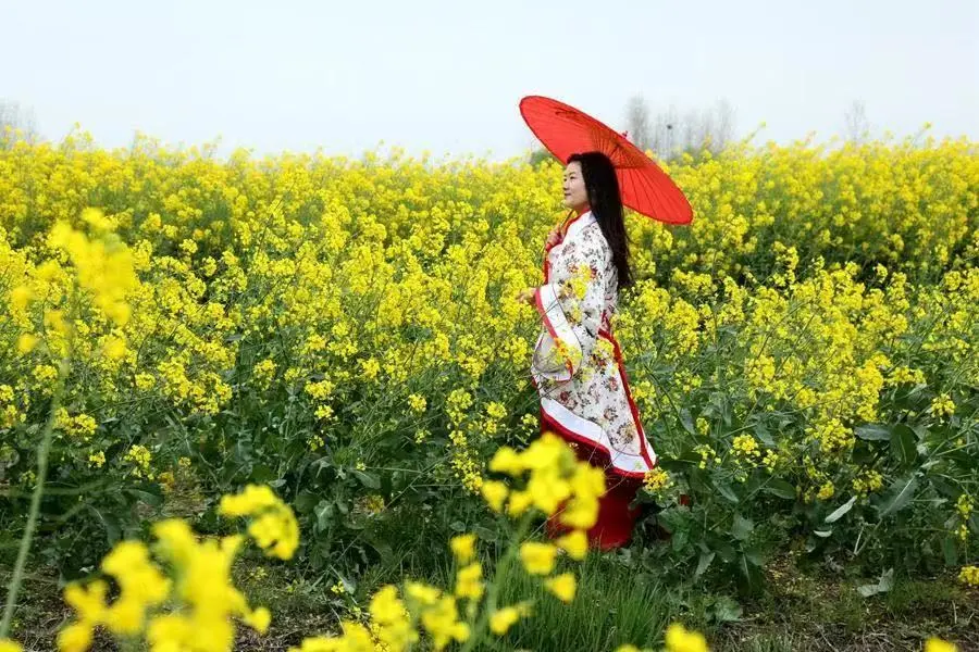 49cae9cd7dc5ce4eee4e289e34eb5d8f-sz_139102-2