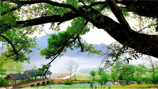 49dba6b76d323facc99e3253af6241e4-sz_405564