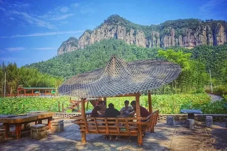 49dda6280f299079698fce62059d4fe2-sz_141645