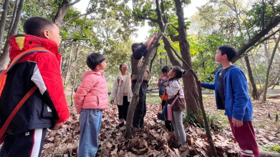 4a496f842b8b889649b7180e0143ca71-sz_1202313