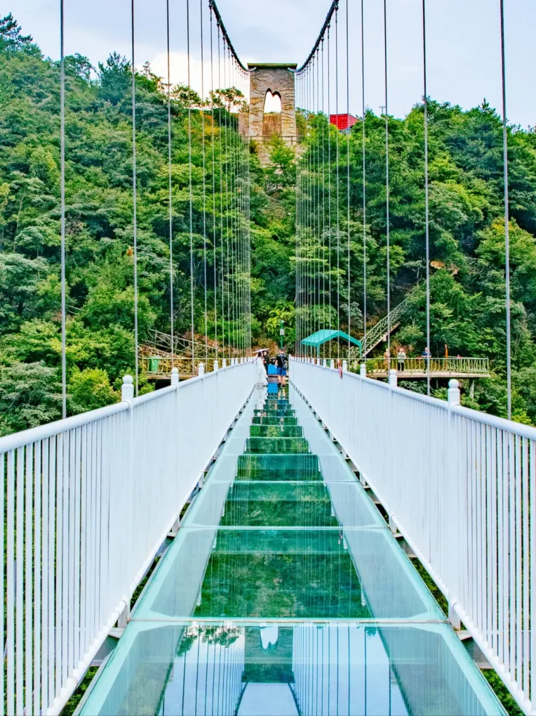 4a79ba89ab37b2c1db67301436c02c59-sz_1354499