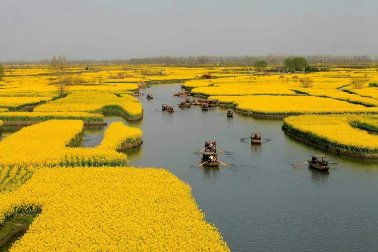 4aaba9ba2c2453249163a778c9e2dd3d-sz_407087