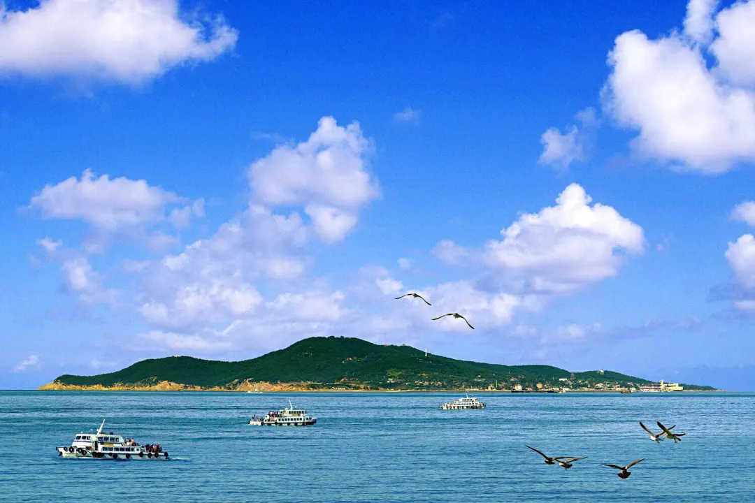 4ada5f1a54bc3a80febcaab09f2f4c82-sz_213522