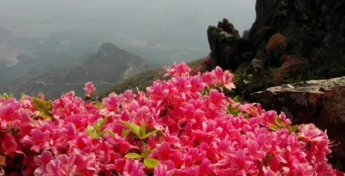 4afa5cb5a464b27da6d3c1fbe8617c42-sz_289255