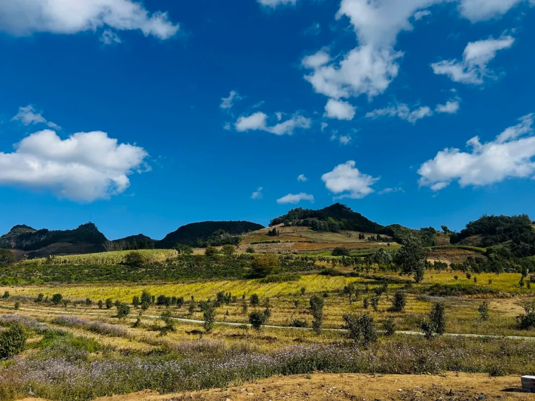 4b0af66341796645b415f910b0ec113c-sz_2686915-1