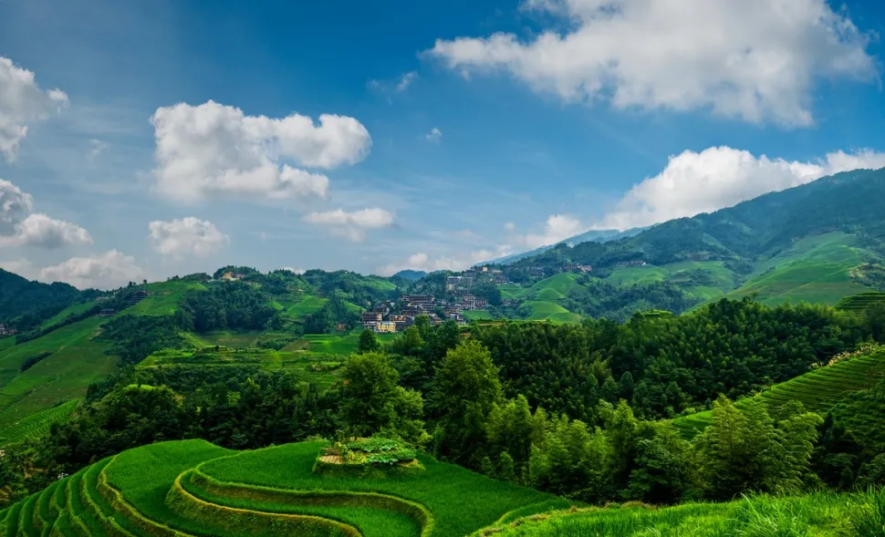 4b0b94caa73baa3083582e3256bf59c0-sz_364884