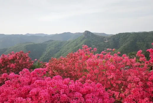 4b657ba13c26a136ae445597ec73f17f-sz_366064