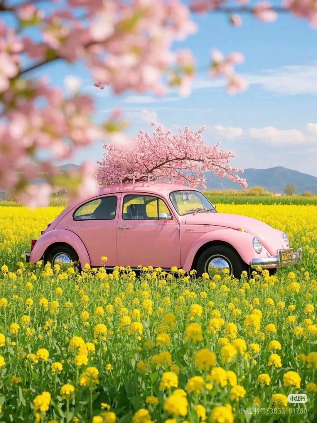 4b8692d619f1962f34efe75ffc1d960a-sz_466843