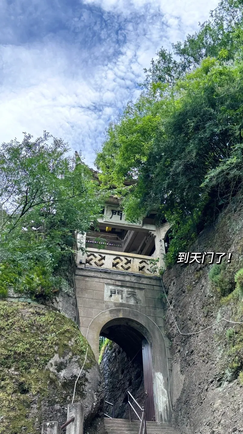 4ba09098ff052448fc06dfcd8129999a-sz_730294