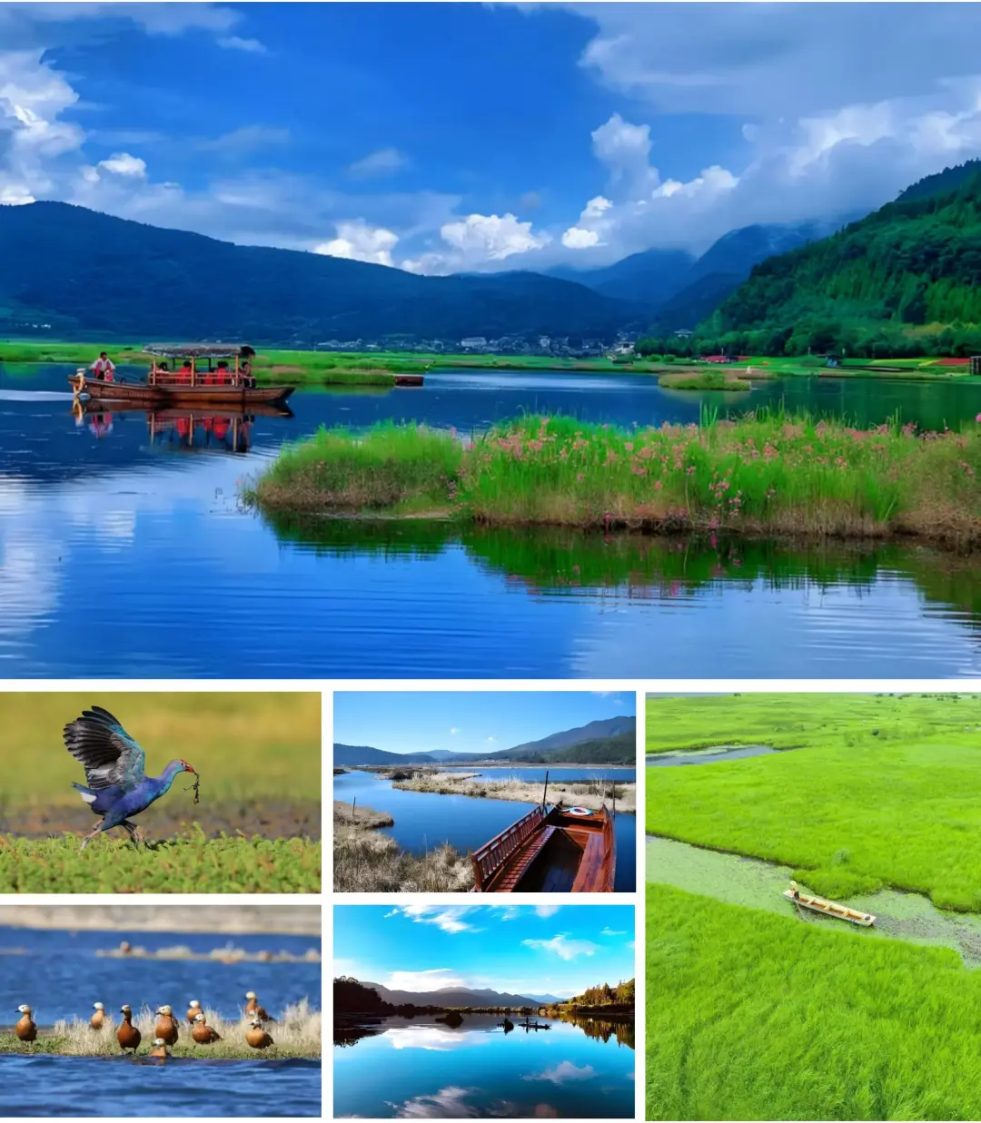 20人内VIP华东自组团 直飞大理【极边滇西】大理、腾冲、瑞丽、芒市、巍山、诺邓全景双飞7日游|真纯玩无购物0擦边0套路