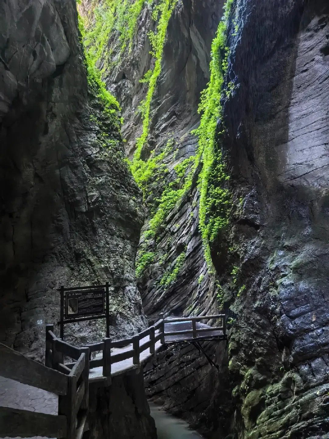 4c00870622f448d04c2439badccf1237-sz_2752536