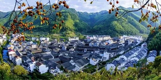 4c3d2dd5bc93279bb34abfb18c1a82d4-sz_57327