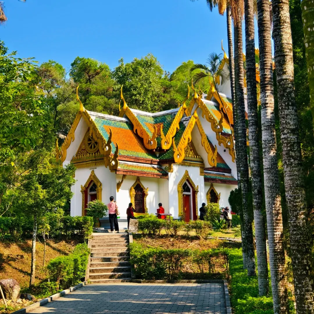 4c43f3d0bf4ff424cd958cad973d5dbc-sz_708329-1