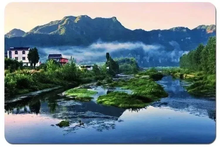 4c486fa4f58edd9b88a4a99a803207a9-sz_65585