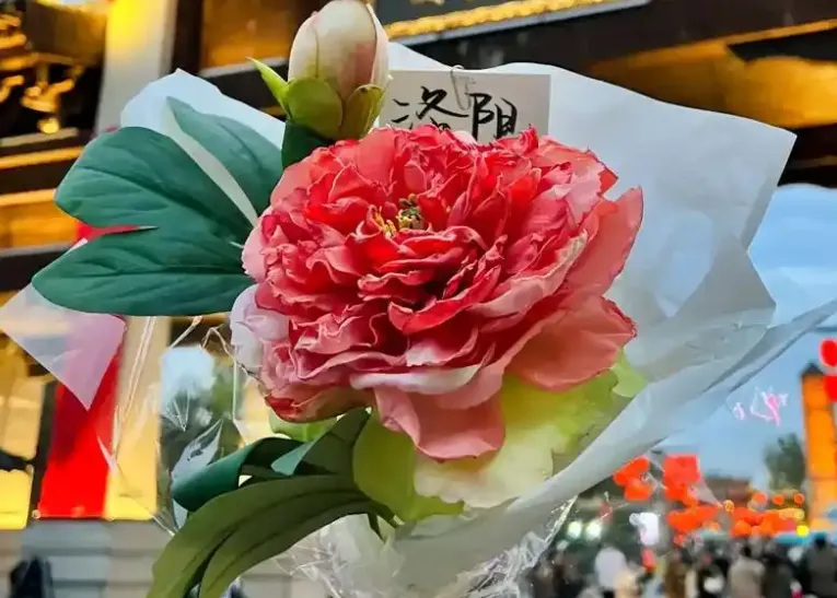 4c5de6c3a1c1a040e57f245de1c57c25-sz_1023889-3