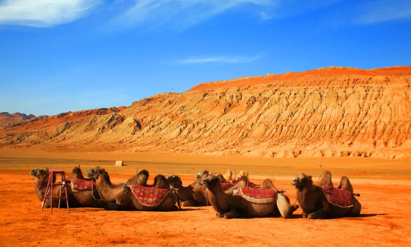 4cfe51e956f2a0c350d5d87d2bd6abb5-sz_727762