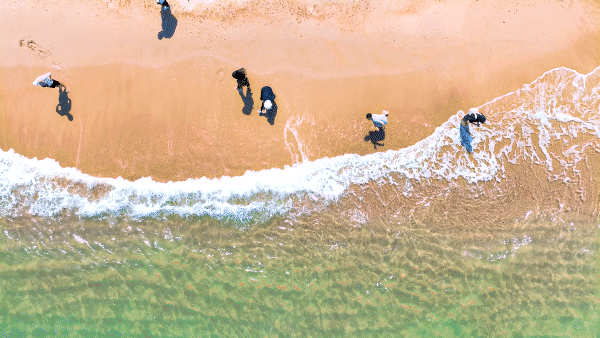 4d52b27124c5b59270e8d1e4f618ec0c-sz_10273137