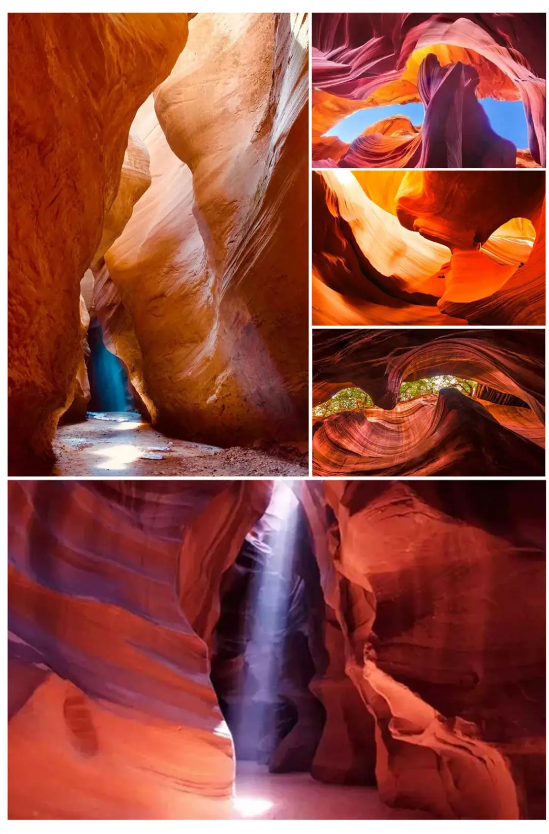 4db678daf6b2118ab57e9d76ba6d42af-sz_178188-3