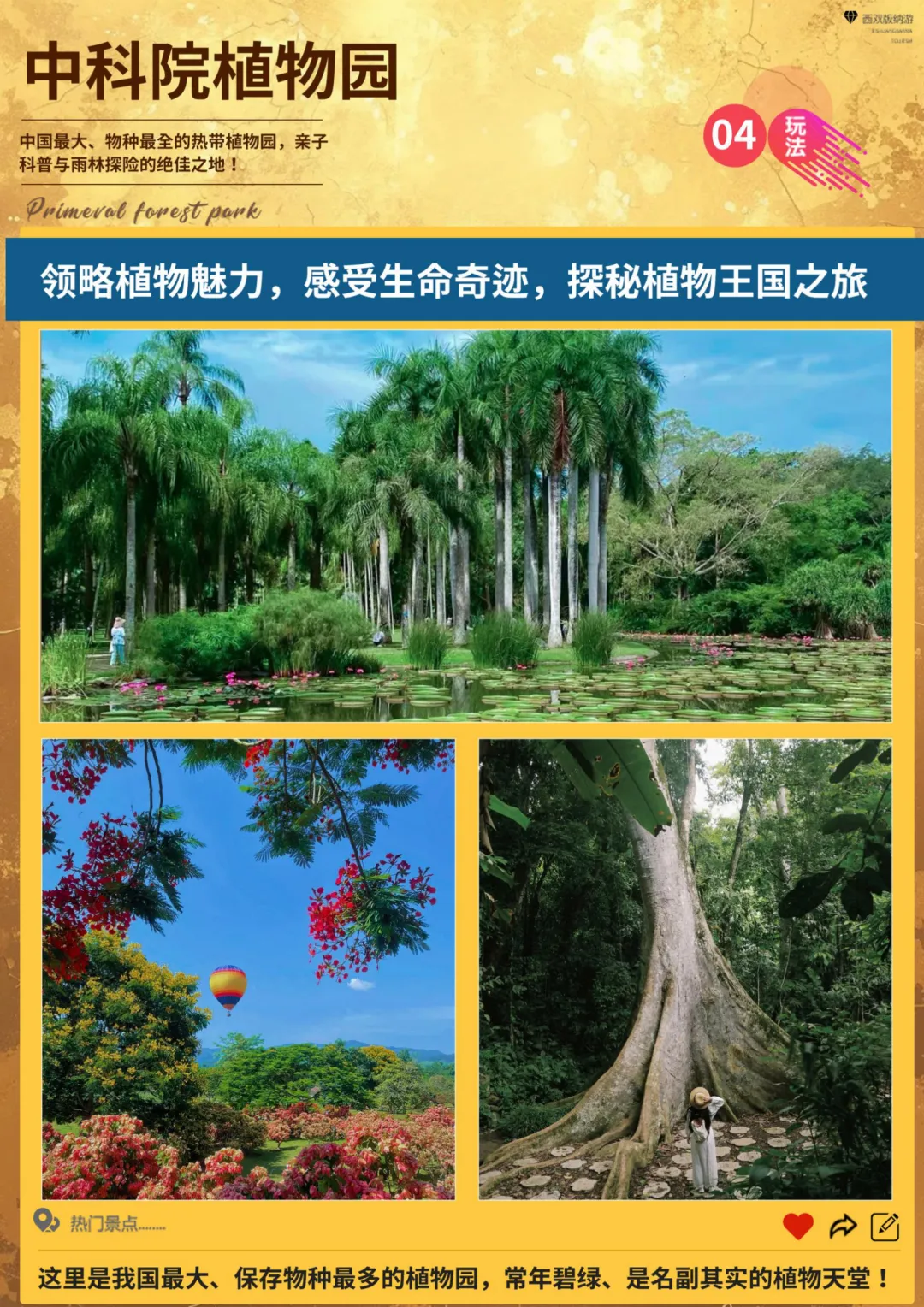 4e761ade23c1a5681d746e416c0dd133-sz_5363278