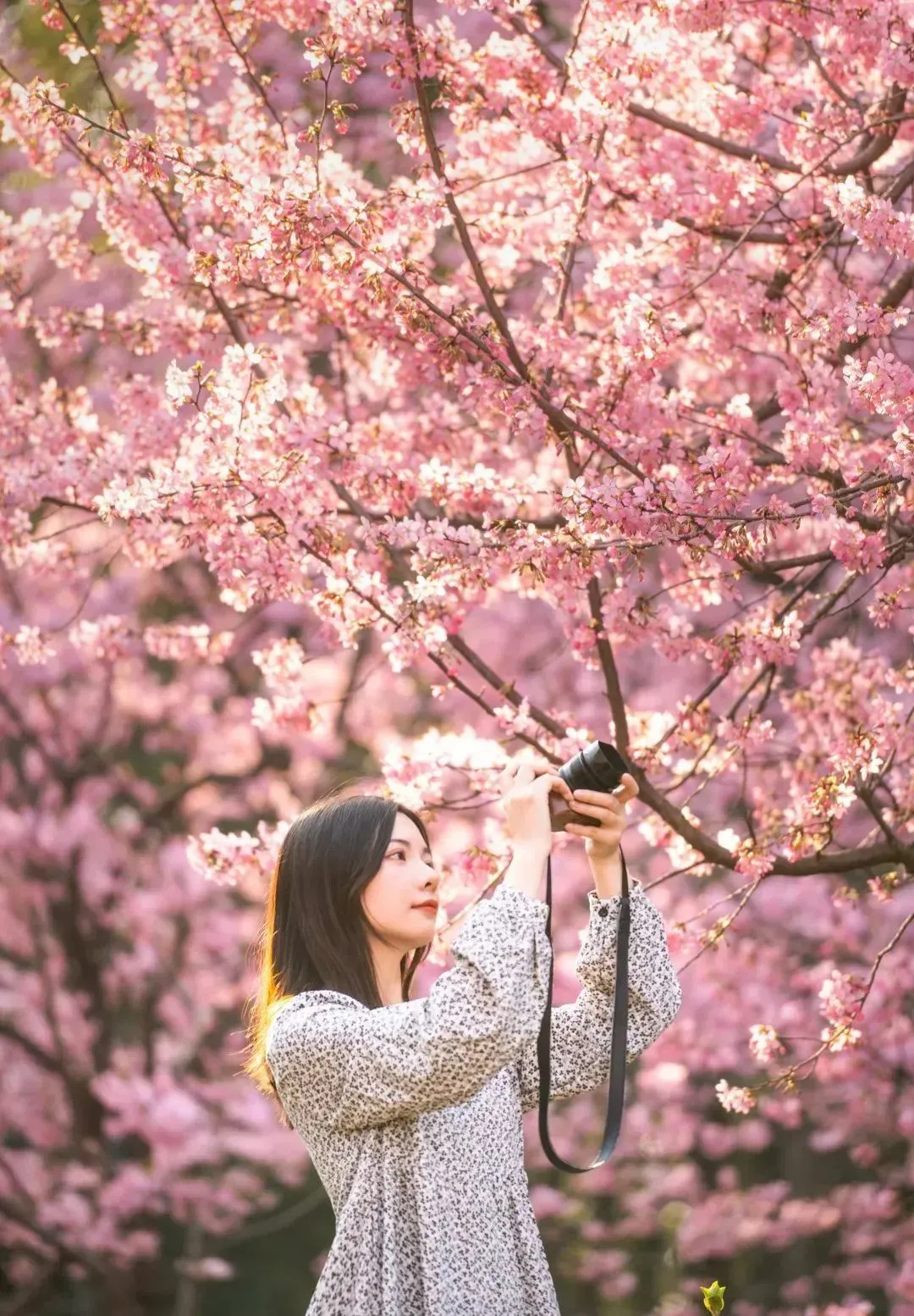 4ea095414352a6609286b61dc5ac7a88-sz_321276