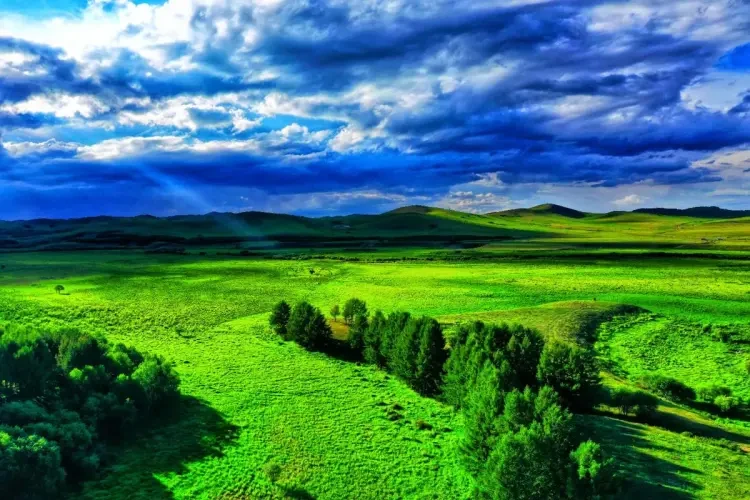 4eea8697f451ea359a366f1bc056c4d4-sz_199452