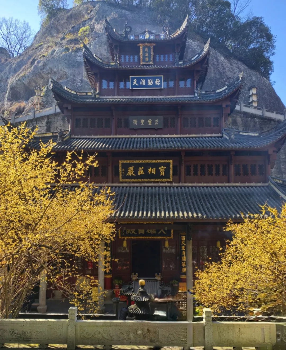 4f0d279a3e8cde33b1515329d52a7ab7-sz_1843029