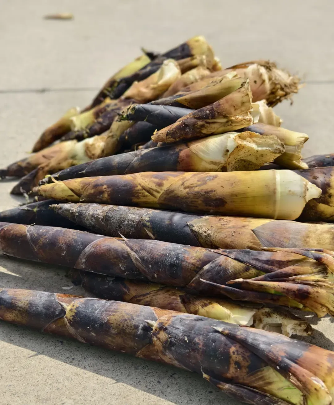 4f29f44f7f6fd9f3375bf43db7aedecf-sz_1791906