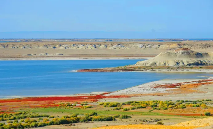 4f33a58bc68f0f1a34b286bb97791a8d-sz_607173