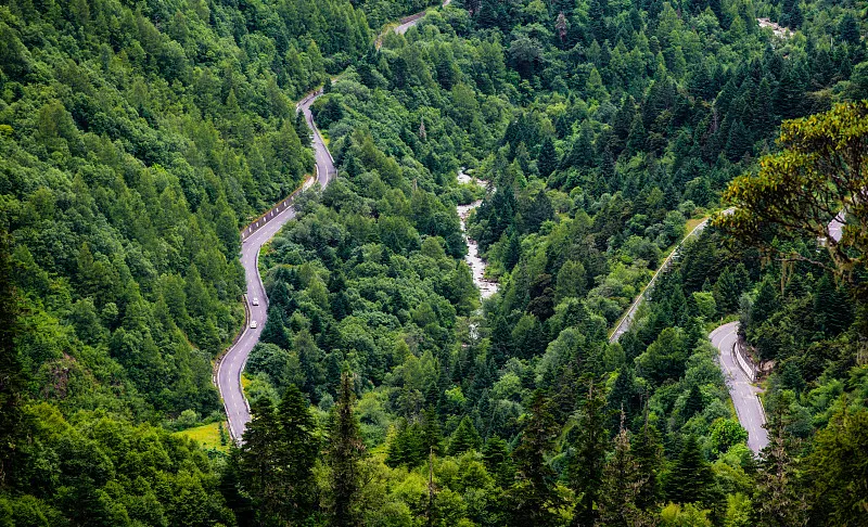 4f946709a1abd636242f4c8ee7d4128f-sz_1258160