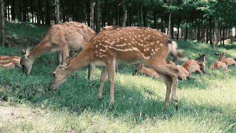 4fcb9dc7bd55c1a430980b12bc27a4c7-sz_9003928