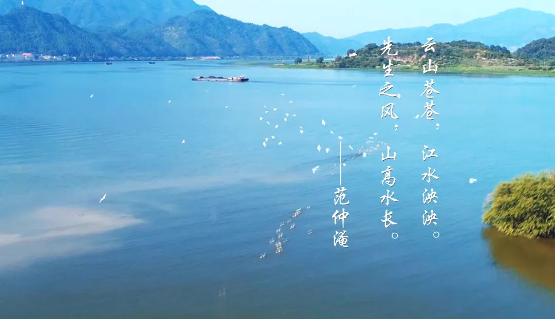 505635fe663602b155bd1701e42adf56-sz_414648