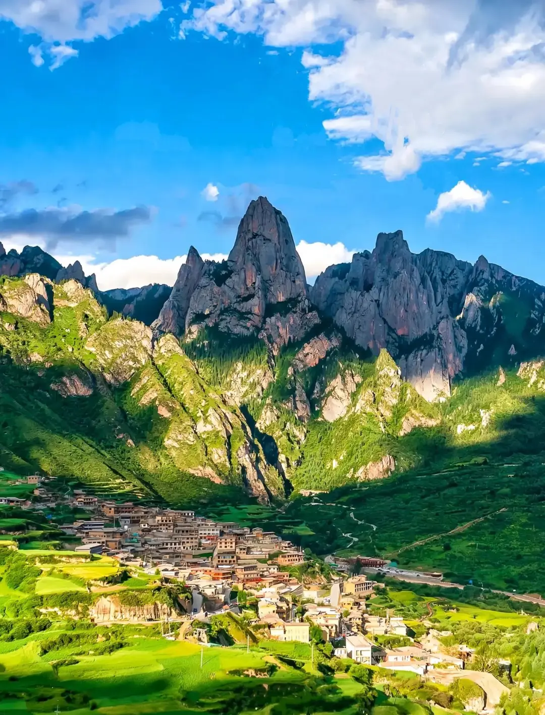 5065bcded32b8bdddb0b62575d1d685b-sz_470413