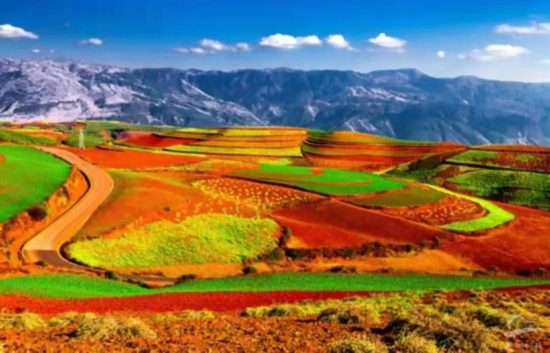 508b3c25c342fa41a03980637243834e-sz_1080406