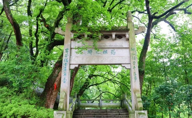 50e29a8c44c07be6e299c713f6d195ae-sz_620082