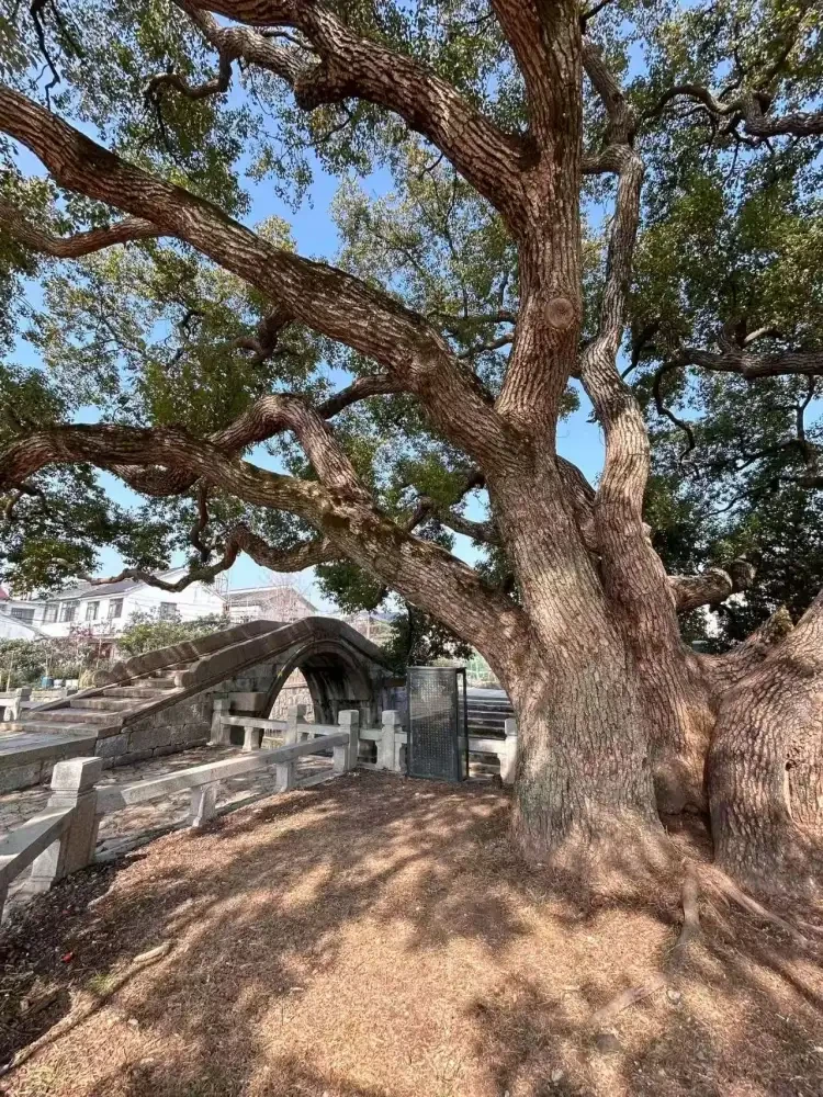 51313c13db130ab37c5d0135589a2db3-sz_566656