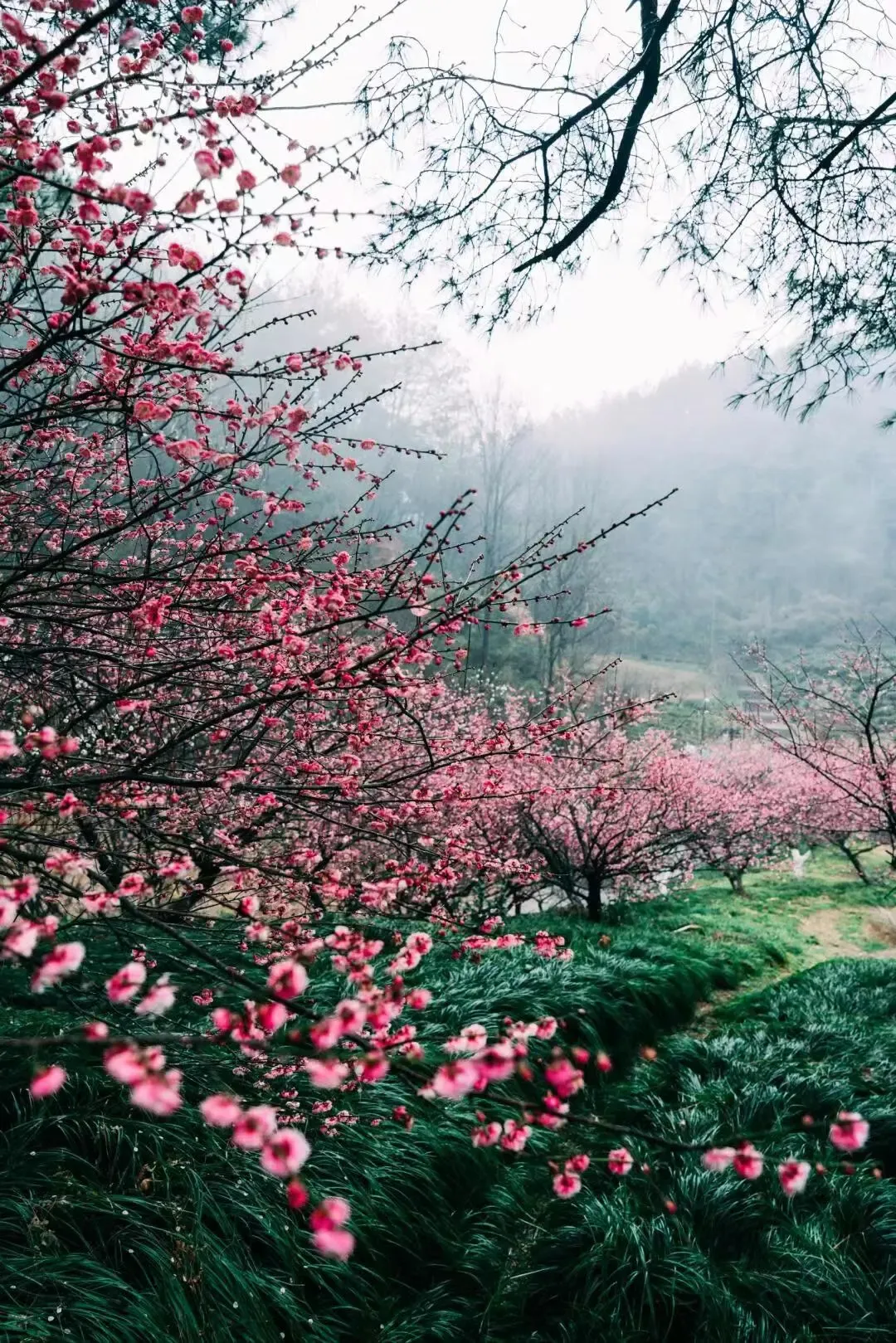 5192c55fc4adbbe0a95bedfdd78d95ac-sz_3342623