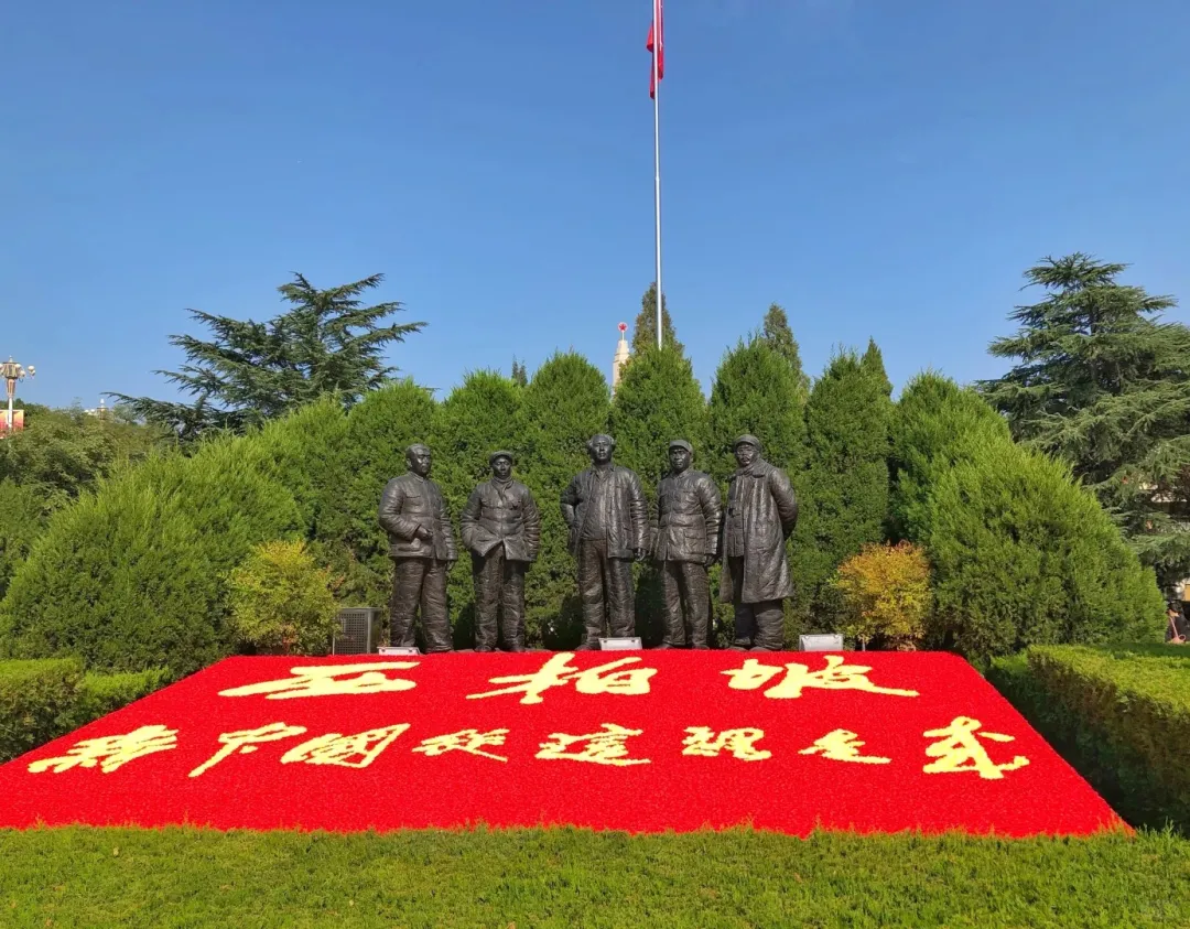 51f59c82d4f58f1819744d0d71a010c9-sz_530220