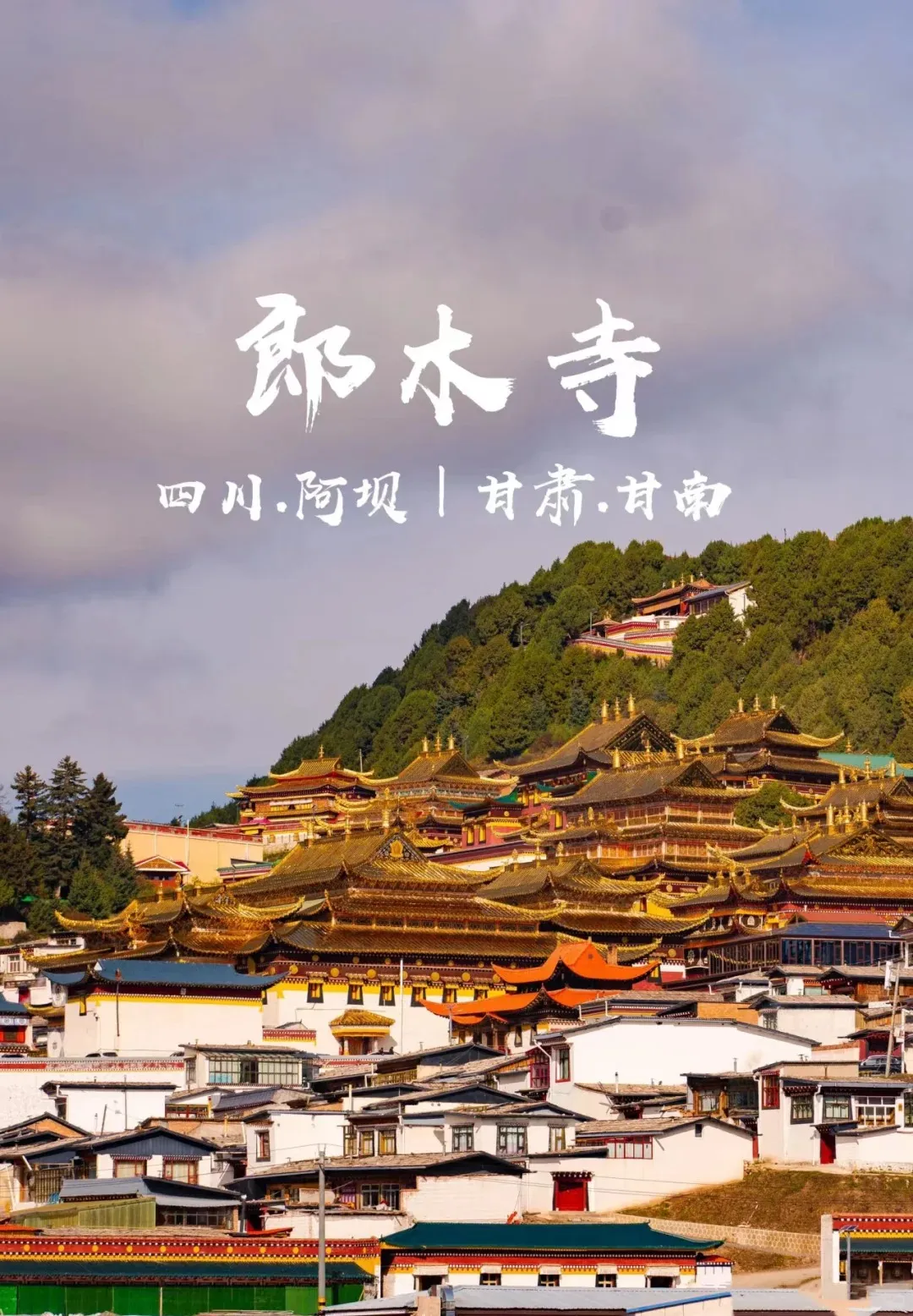 51f7cab0a852dab6c9126c869c07406c-sz_423862